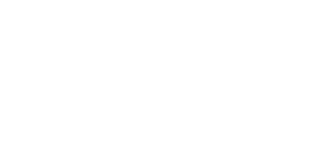 ElectriCouncil